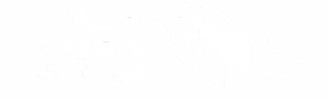 ساف الجزيرة البيئية